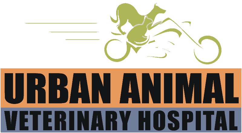 Urban Animal Veterinary Hospital - Houston Heights Vet