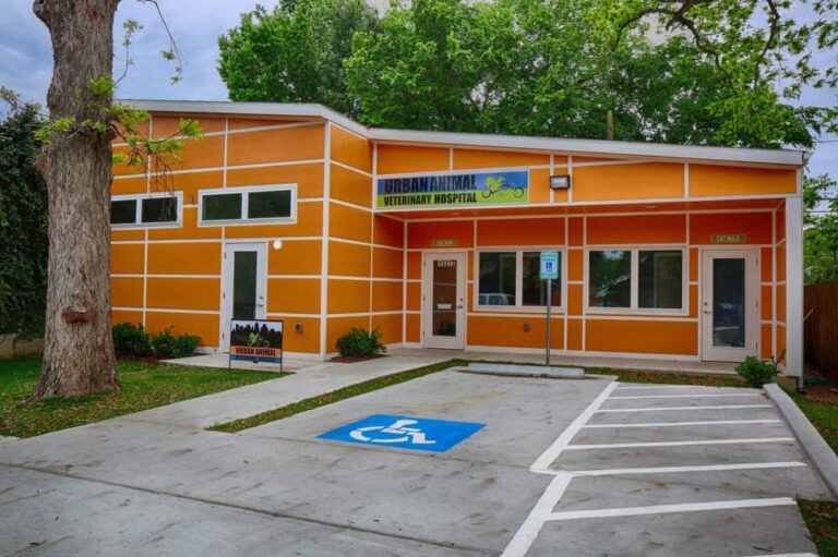 Veterinary Hospital Houston Heights Urban Animal Veterinary Hospital