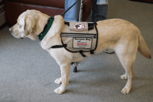 service dog in Houston Heights