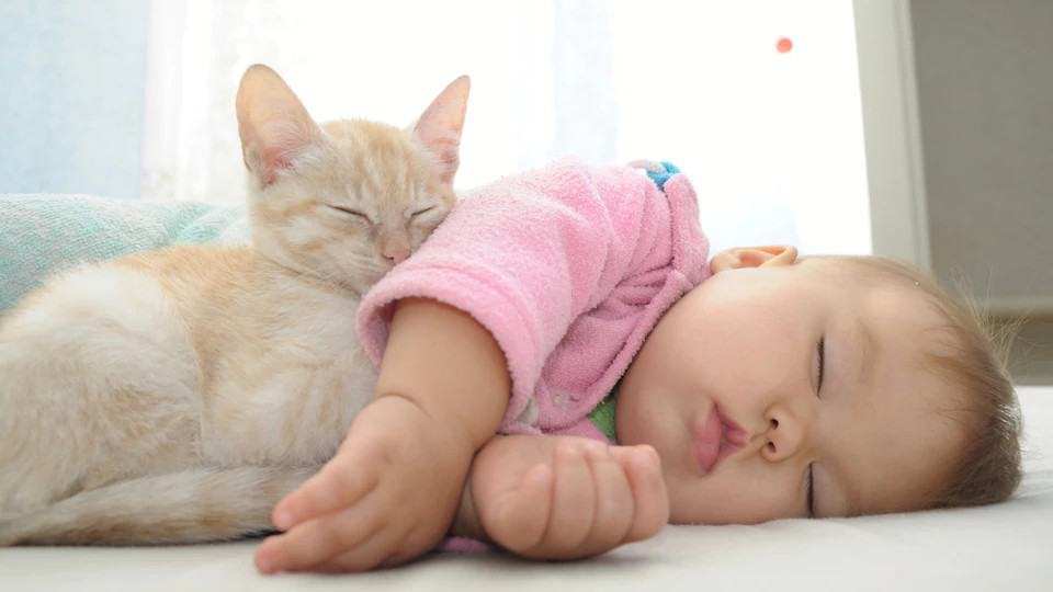 baby sleeping with cat