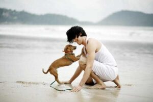 socializing puppy