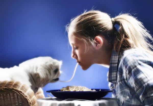 GRAIN FREE FOOD LINKED TO CARDIAC DISEASE IN DOGS