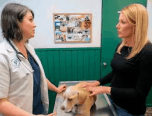 houston veterinarian office