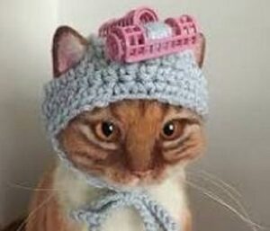 cat dressed in a costume for halloween