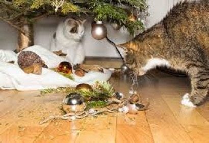 HOLIDAY FOODS AND GIFTS POSE HAZARDS FOR FAMILY PETS
