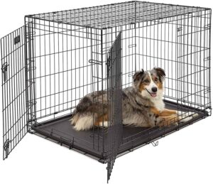 crate training your dog