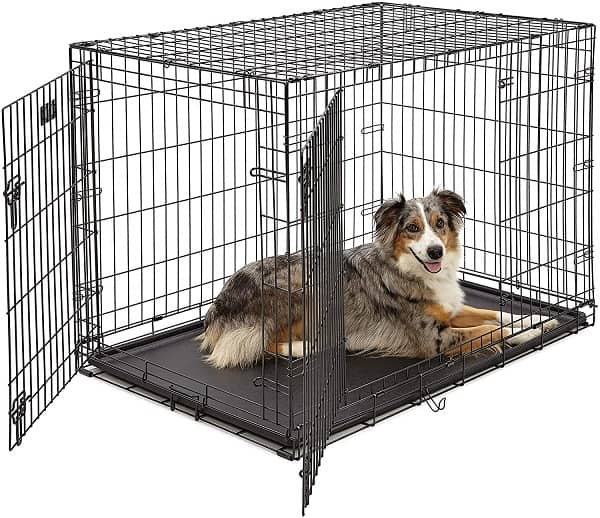crate training pets