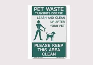 why dogs eat cat feces