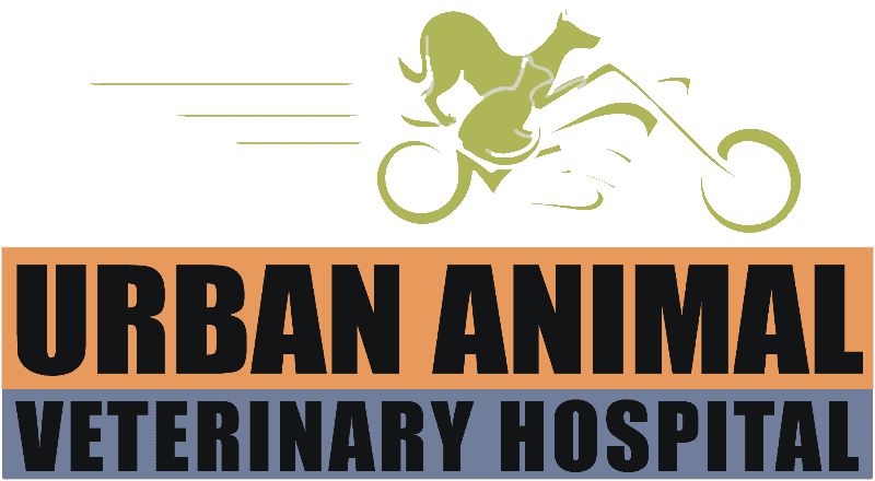 urban-animal-veterinary-hospital-logo main