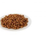 Grain-Free Diets Associated with Heart Disease in Dogs and cats
