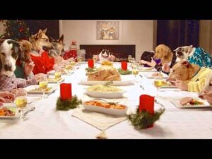 holiday hazards for pets