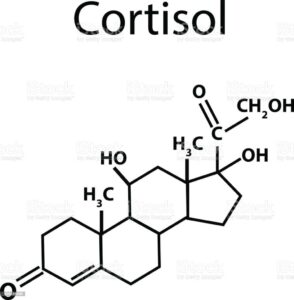 steroid use in dogs and cats