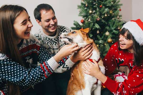 dog with family during holidays