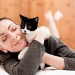 What is the risk of Toxoplasmosis to pregnant women from their cats?