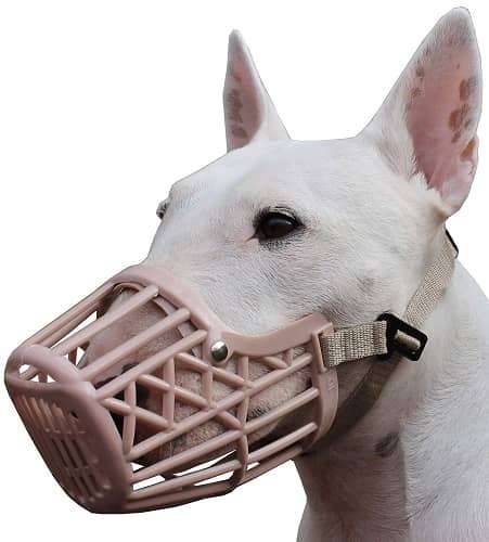 Basket muzzles for dogs