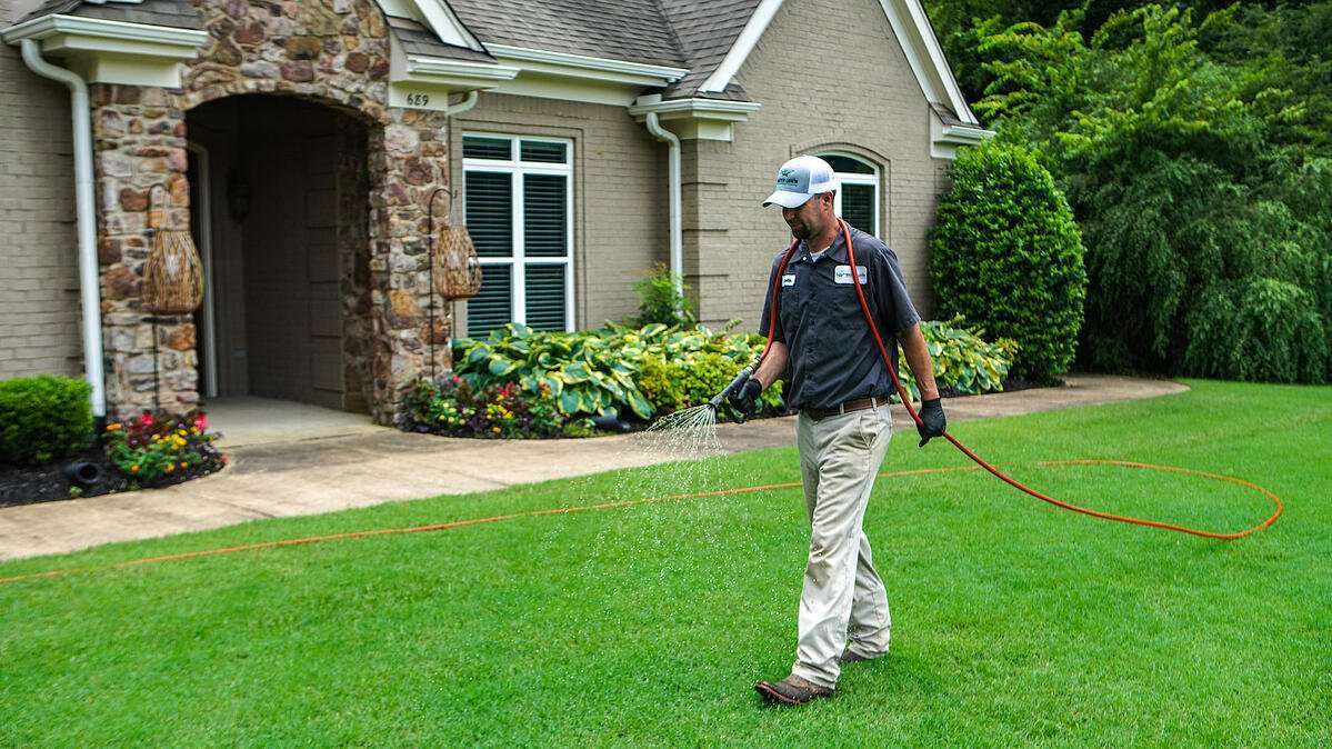FLEA PREVENTION: Treating your Yard and Pets for Fleas and Ticks