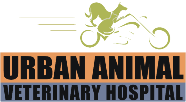 urban animal veterinary hospital houston heights