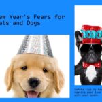 new year's eve fears for dogs and cats