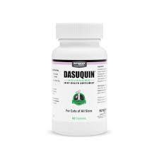 Dasuquin to help with chronic pain in cats and dogs