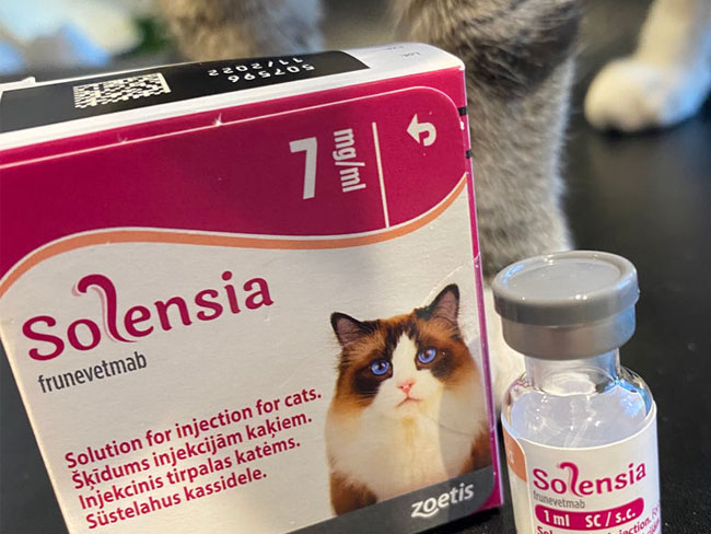 The medication for cats, Solensia