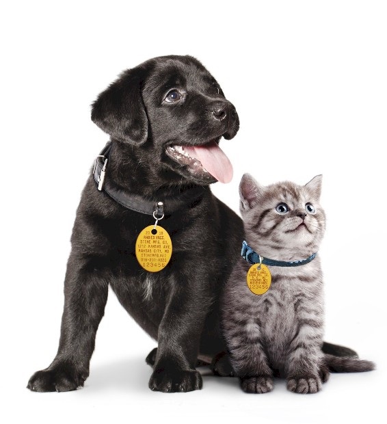 Harris County Requirements for Microchipping, Rabies Vaccination and Licensing for Cats and Dogs