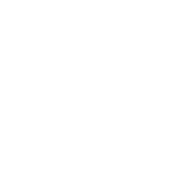 Testimonial Icon