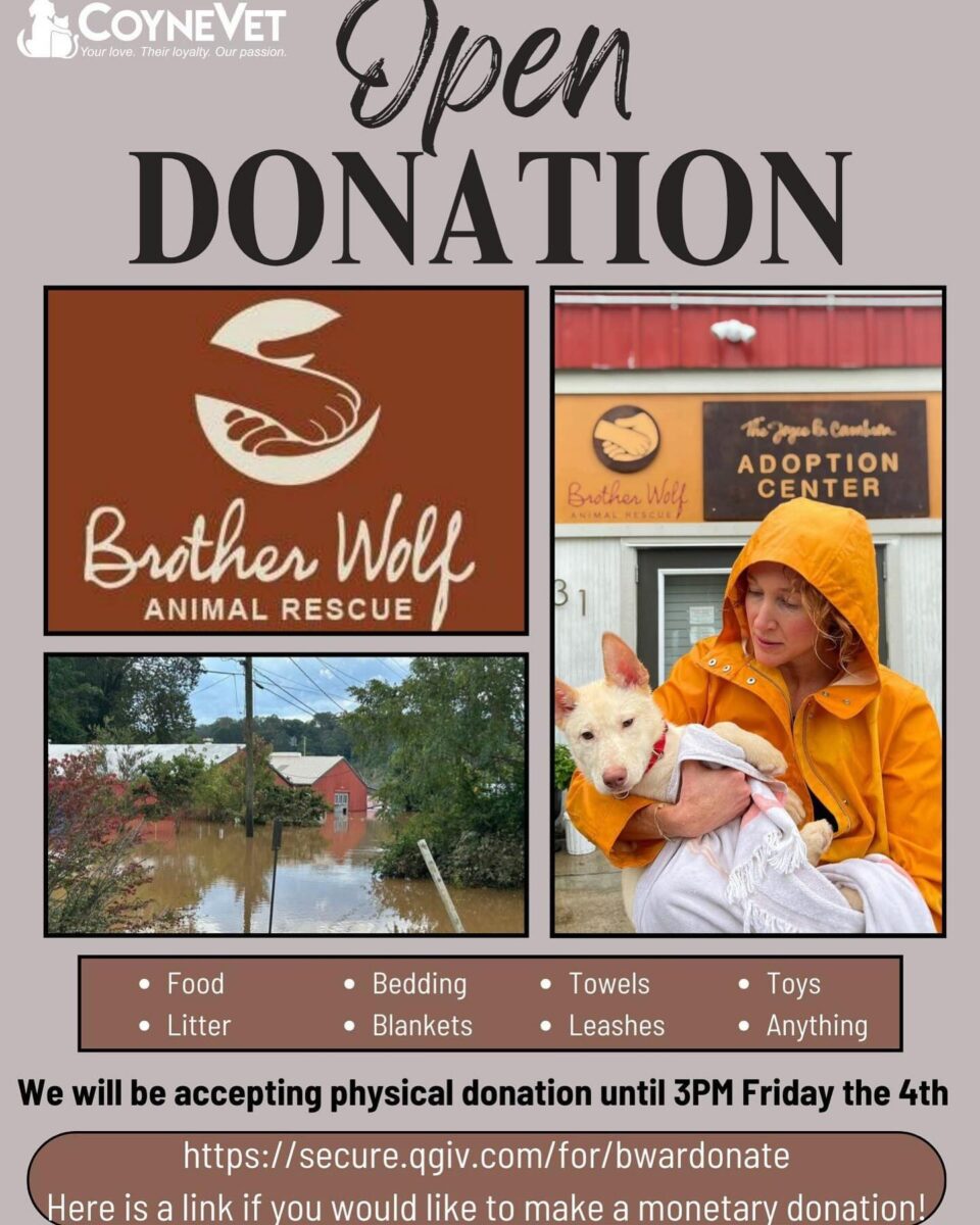 Open donation flier.
