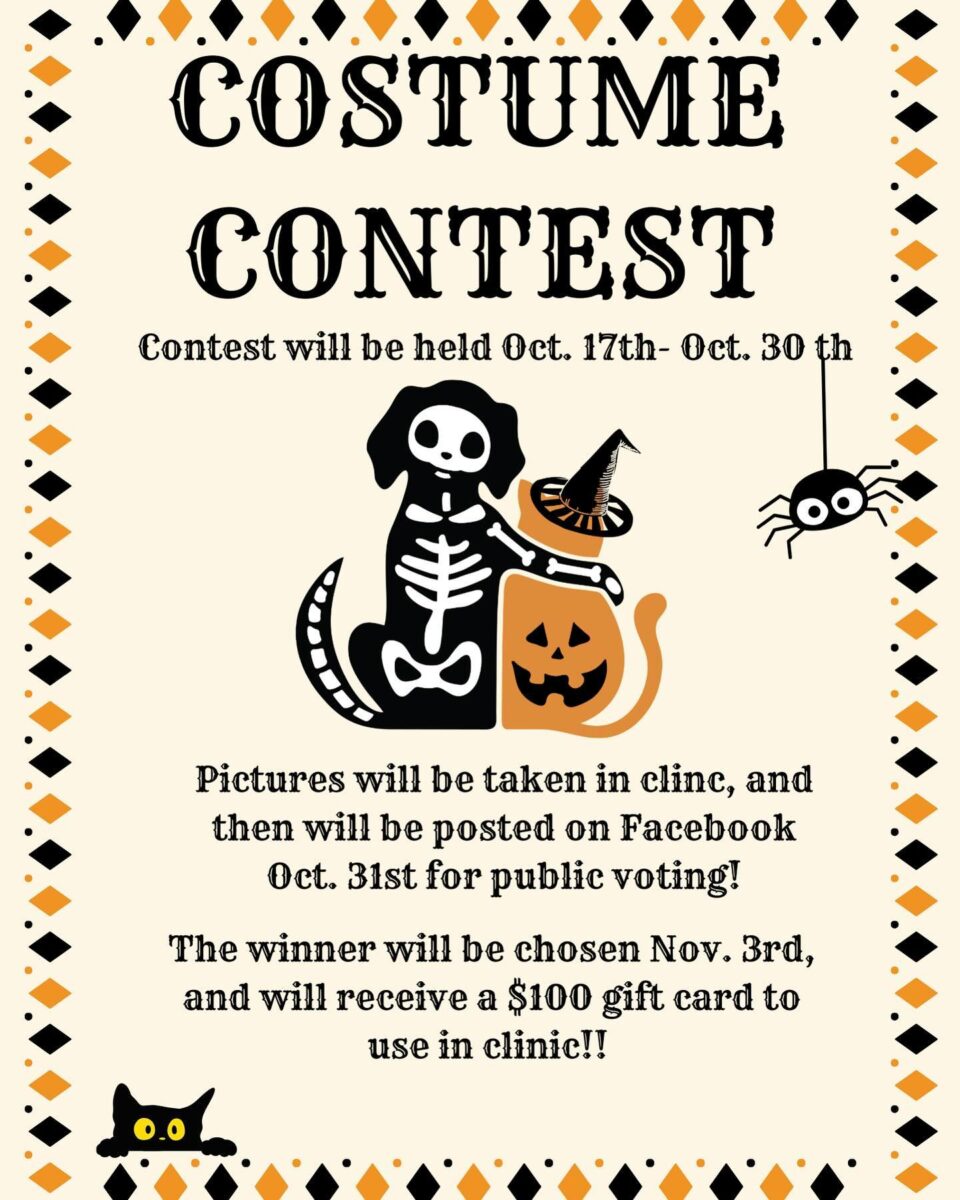Costume context flier.